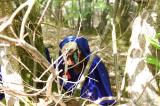 Promenons nous dans les bois 49 * 5184 x 3456 * (6.82MB)